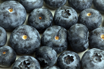 blueberry background texture close up