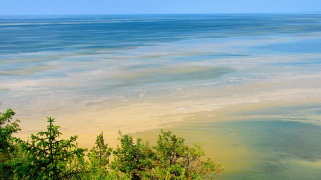 Toxic Cyanobacteria Bloom On Ocean Surface