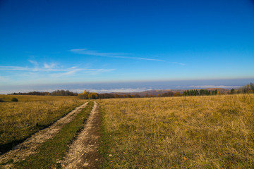 rural road in the field