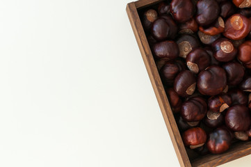 View from above on autumn decoration with brown chestnuts in dark wooden box. White table background with copy space.