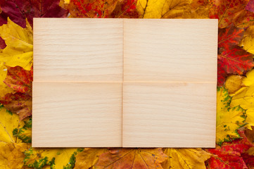 Top view of plank from light wood, with frame from colorful autumn maple leaves. Copy space.
