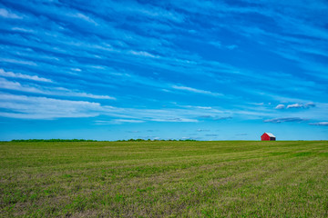 A red barn on the horizon of an open field at a farm on a sunny day in New York State. © Jonathan W. Cohen 