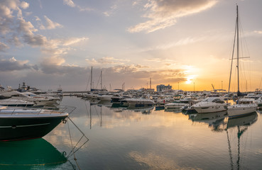 Yellow sunset in the sea harbor with moored yachts.