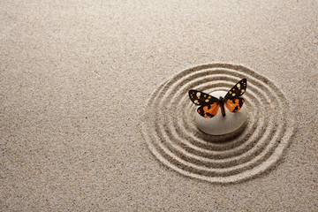 Fototapeta na wymiar Japanese zen garden stone and butterfly for concentration and relaxation sand and rock for harmony and balance