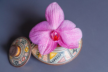 Pink orchid flower in a pot as decoration