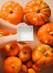 Pumpkins. Thanksgiving concept. New Year concept. halloween concept. vegetarianism. raw food diet.