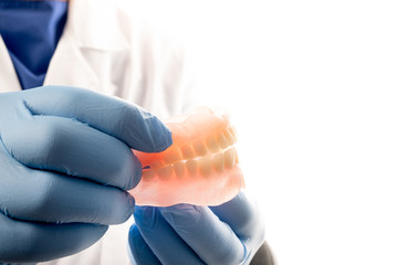 A dentist doctor in a white coat holds a false jaw in his hands. The concept of healthy teeth.