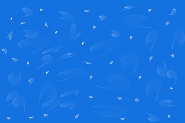Illustration white feathers on a blue background.
