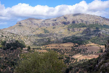 Fototapeta na wymiar Valley and olive groves on the slopes of the Sierra de Tramontana mountain range near the Monastery of Santuario de Santa Maria de Luch. Majorca. Balearic Islands.