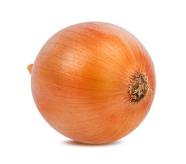 Onions isolated on white background