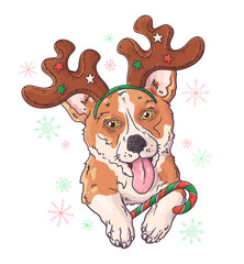 Hand drawn portrait of corgi dog in Christmas accessories Vector.