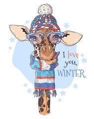 Hand drawn portrait of giraffe in Christmas accessories Vector.