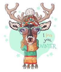 Hand drawn portrait of deer in Christmas accessories Vector.