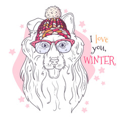 Hand drawn portrait of collie dog in Christmas accessories Vector.