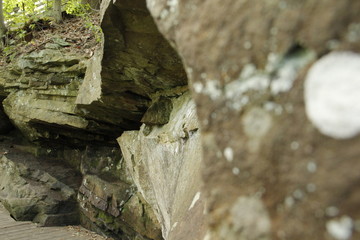 Rocky Nature