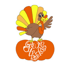 Give thanks lettering. Turkey on pumpkin. Cartoons funny orange brown banner for Thanksgiving day art design elements stock vector illustration for web, for print, for postcard