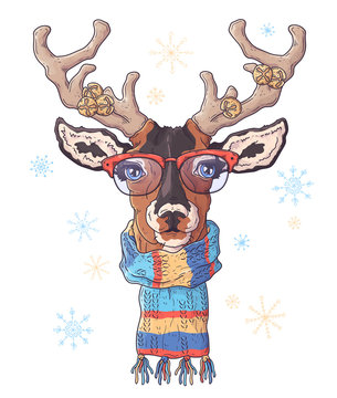 Hand drawn portrait of deer in Christmas accessories Vector.