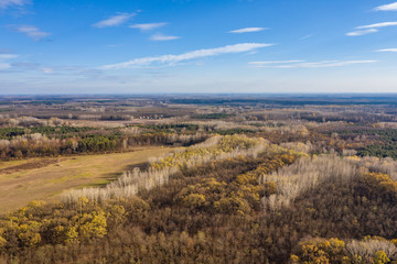 Autumn forest fields aerial drone view