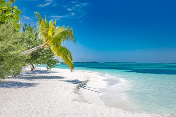 Papier Peint photo Bora Bora, Polynésie française Paysage de plage exotique. Vue sur la plage paradisiaque, palmiers et mer bleue. Paysage naturel lumineux, sable blanc, ciel bleu