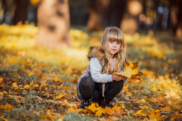 girl collects autumn leaves in the park