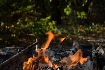 Bonfire, coal and stones in the forest.