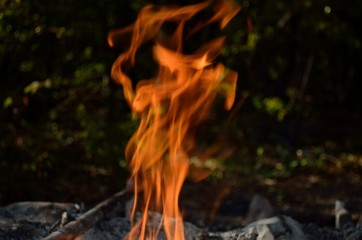 Bonfire, coal and stones in the forest.
