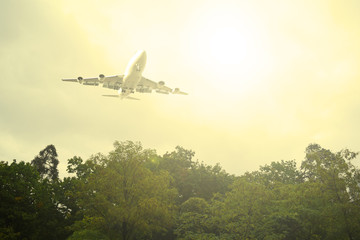 Plane in the sky and cloudy over the forest.
