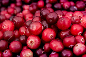 Fresh cranberries. Red ripe cranberries background. Close up.