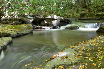 Naklejka na ściany i meble Mountain trout stream in Shenandoah National Park in the Blue Ridge Mountains of Virginia