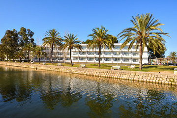 Palm trees growing along a canal in the city of Alcudia on Mallorca, Spain