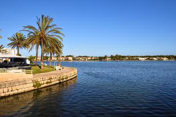 Palm trees growing on the shore of the Lake Es Llac Gran in the city of Alcudia in Mallorca, Spain