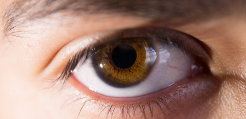 Ojo Verde Oscuro