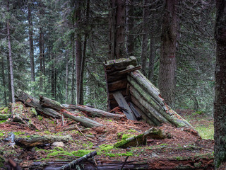 verfallenen Jägerhütte