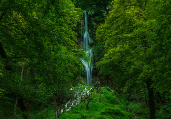 Wasserfall mit Bäumen in Bad Urach