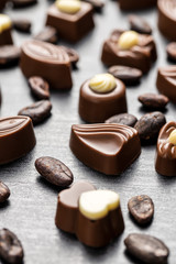 Various chocolate pralines