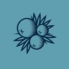 Juniper berries with leaves and thorns illustration. Blackthorn berries. Decorative composition.