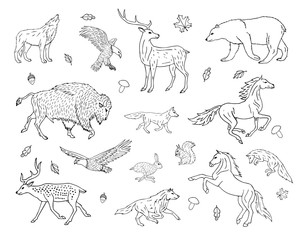 Vector hand drawn sketch set bundle of wild American animals isolated on white background