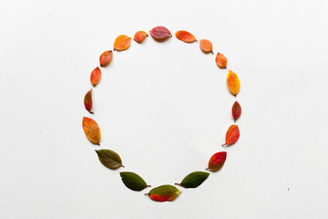 Ornament with autumn leaves on white background, top view