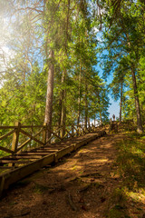 Long wooden stairs in forest with a men on the top.