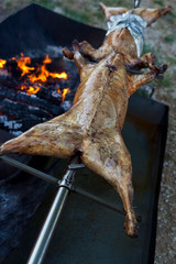 Lamb on a barbecue in a garden