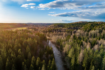 Aerial view of a river and green forest on a bright day with blue sky. Amata, Latvia.