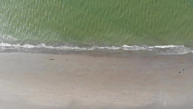 Aerial View of waves on the Beach of Dunkirk and Malo les Bains in France During the Summer