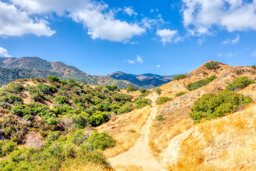 dirt path in mountains