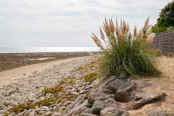 Beach of Saint vincent sur Jard Vendee France