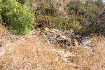 trash in the forest