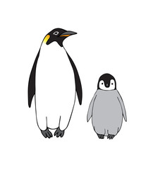 Vector hand drawn doodle sketch emperor penguin with baby isolated on white background