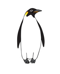 Vector hand drawn doodle sketch emperor penguin isolated on white background