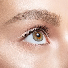 Female eye close-up. Macro. Perfect makeup and eyebrows. Beautiful green-brown eyes