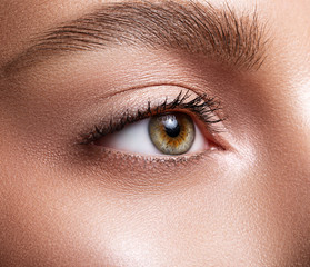 Female eye close-up. Macro. Perfect makeup and eyebrows. Beautiful green-brown eyes