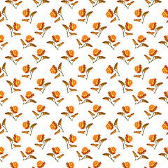 Hand drawn seamless watercolor pattern with yellow orange forest berries cloudberry on white background.  Print for textile, fabric, wrapping paper, notebook and web design.